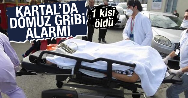 istanbul_kartal_da_domuz_gribi_alarmi_1_kisi_oldu_h87952_61df1.jpg