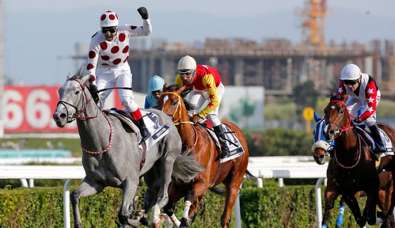 Ankara Koşusu’nda gözler GRAYSTORM’da