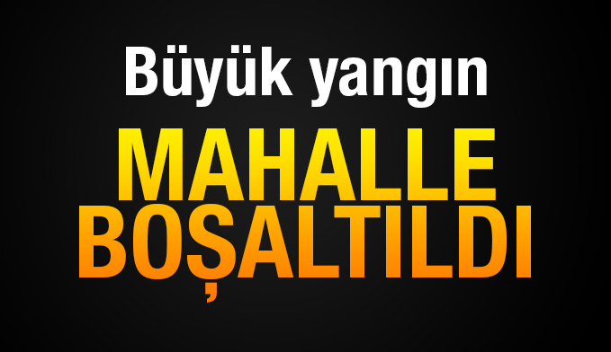 Antalya'da orman yangını