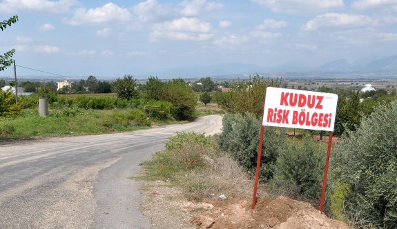 Bir köyde daha kuduz karantinası!