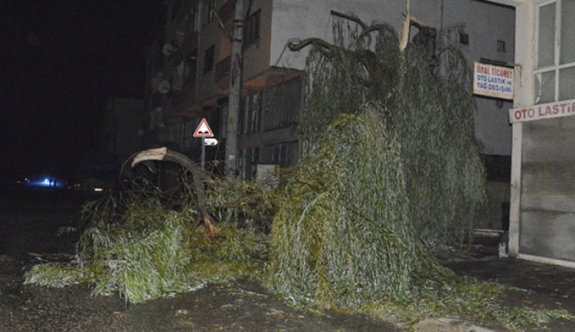 Düzce’de hortum: 3 yaralı
