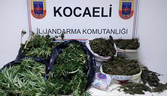 Kocaeli'de uyuşturucu operasyonu