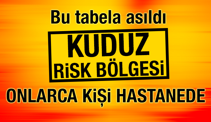 Kuduz paniği: 104 kişi hastanede