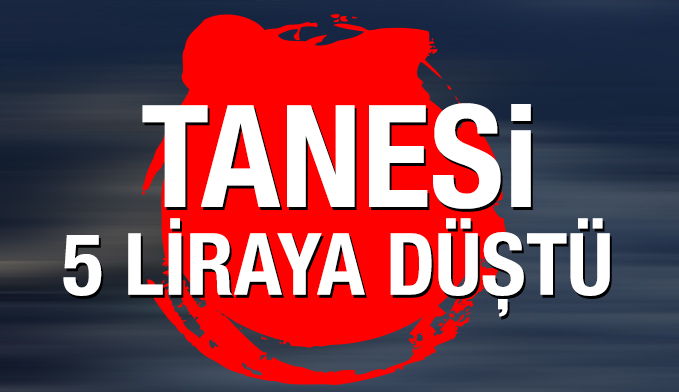 Palamudun tanesi 5 liraya düştü