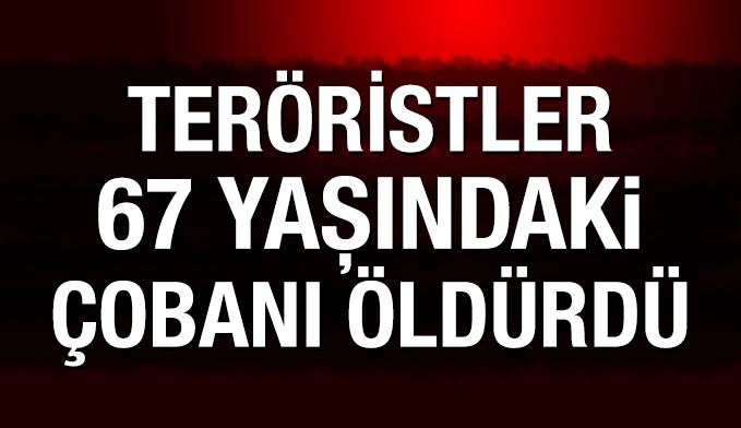 PKK 67 yaşındaki çobanı öldürdü