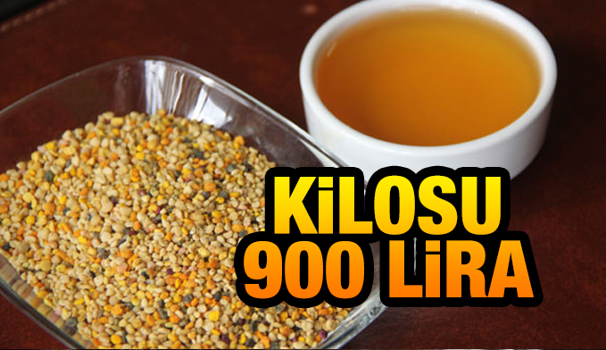 Satışa çıktı.. Kilosu 900 lira