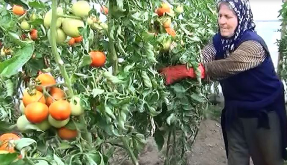Uçak krizinin ekonomiye zararı 407 milyon dolar olarak açıklandı