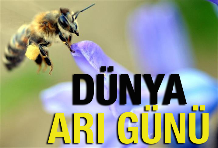 Dünya Arı Günü