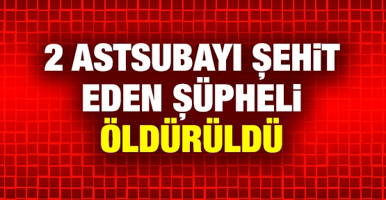 2 astsubayı şehit eden şüpheli öldürüldü
