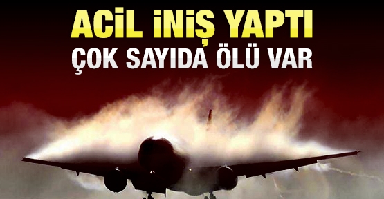 Acil iniş yaptı! Çok sayıda ölü var