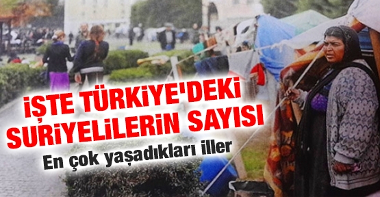 İşte Türkiye'deki Suriyelilerin sayısı