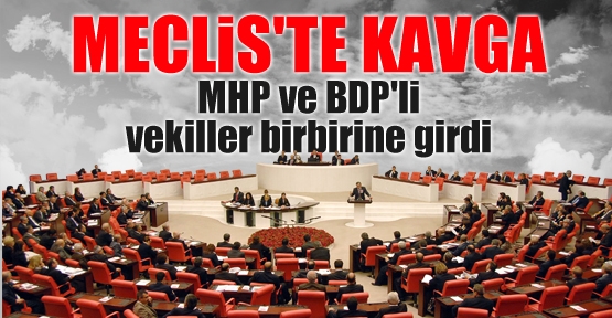 MHP ve BDP'li vekiller birbirine girdi
