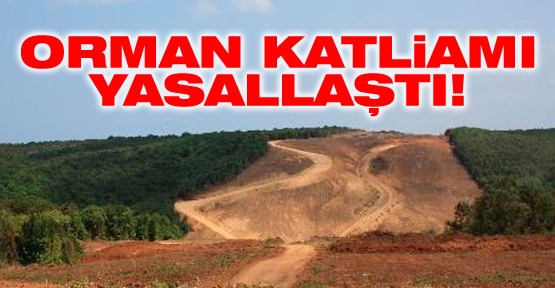 Orman katliamı yasallaştı!