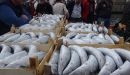 'Benzer bolluk 25 yıl önce yaşandı'