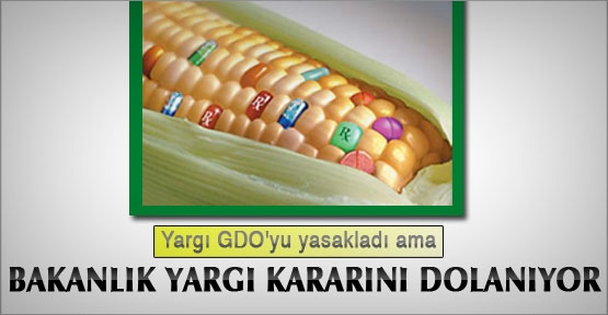 Kuzey Kıbrıs Tarım Bakanlığı Kuzey Kıbrıs Tarım Bakanlığı