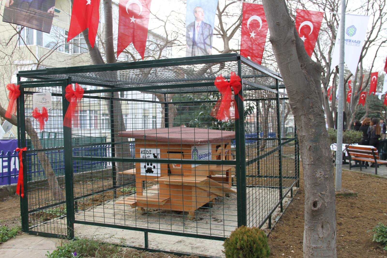 kedi%20evi%20a%C3%A7%C4%B1l%C4%B1%C5%9F%C4%B1%2010.jpg