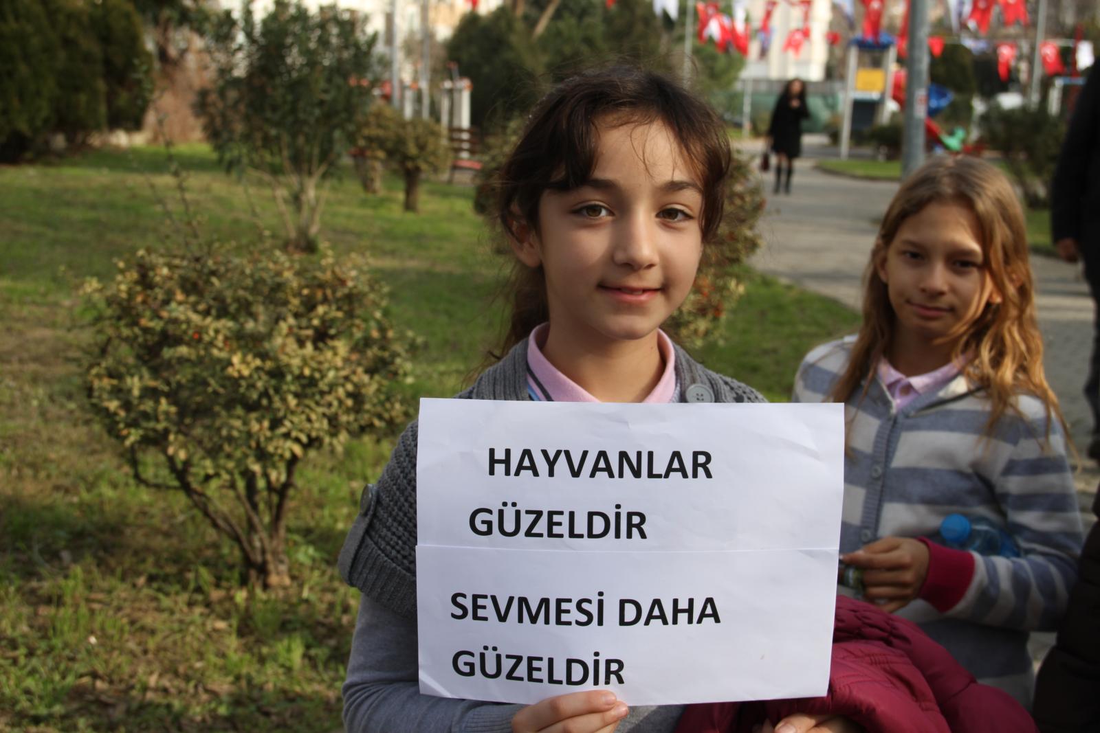 kedi%20evi%20a%C3%A7%C4%B1l%C4%B1%C5%9F%C4%B1%2011.jpg