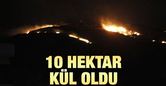 10 hektar kül oldu