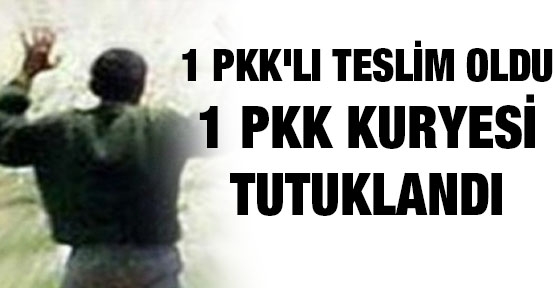 1 PKK'lı teslim oldu, 1 PKK kuryesi tutuklandı