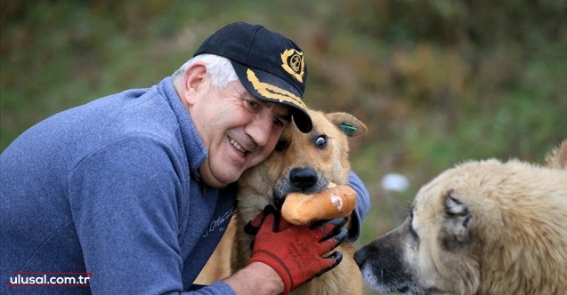 Kendisini köpek dostlarına adadı