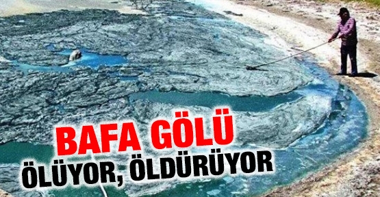 Bafa gölü ölüyor, öldürüyor!