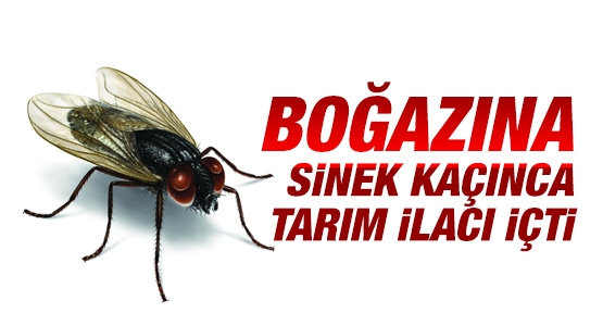 Boğazına sinek kaçınca tarım ilacı içti