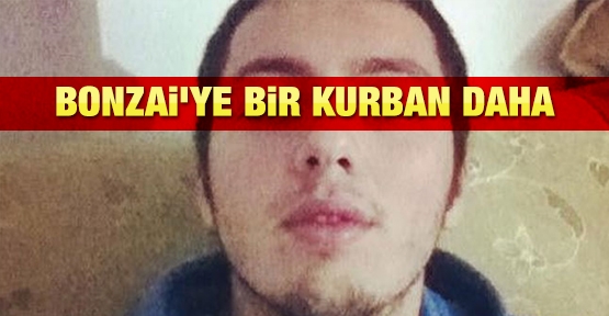 Bonzai'ye bir kurban daha