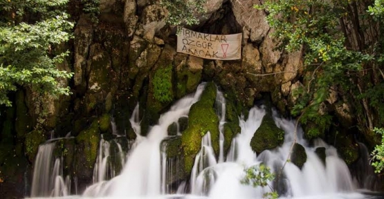 Bu da isyanın festivali