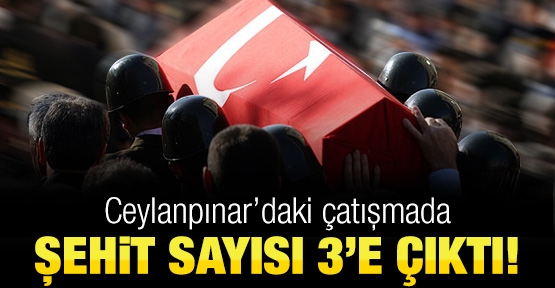 Ceylanpınar'daki çatışmada şehit sayısı 3'e çıktı