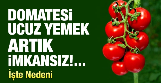 Domatesi ucuz yemek artık imkansız! İşte nedeni!