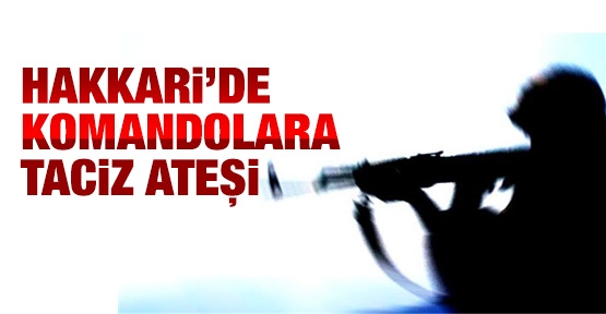 Hakkari'de komandolara taciz ateşi!