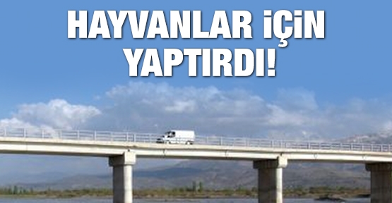 Hayvanlar için yaptırdı!