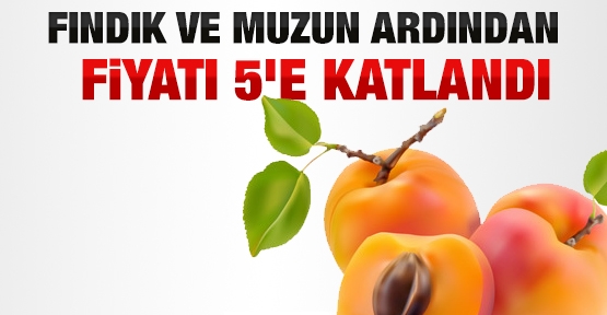 Kayısı fiyatı 5'e katlandı
