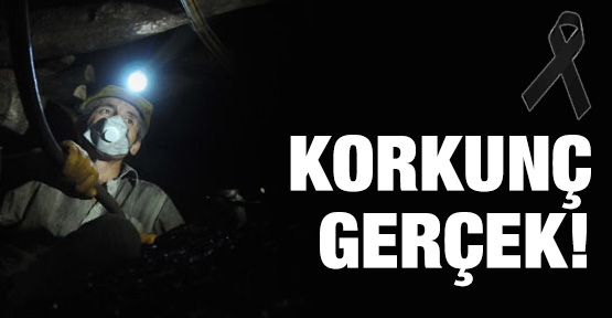 Korkunç gerçek!