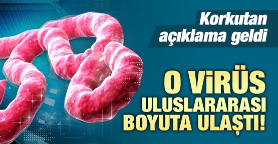Korkutan açıklama yapıldı: O virüs uluslararası boyuta ulaştı