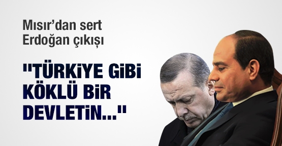 Mısır’dan sert Erdoğan çıkışı