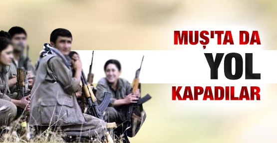 Muş'ta da yol kapattılar