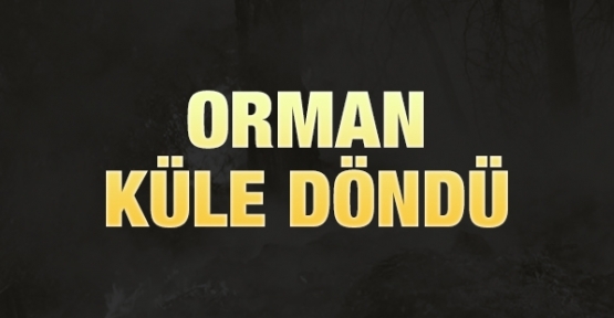 Orman küle döndü