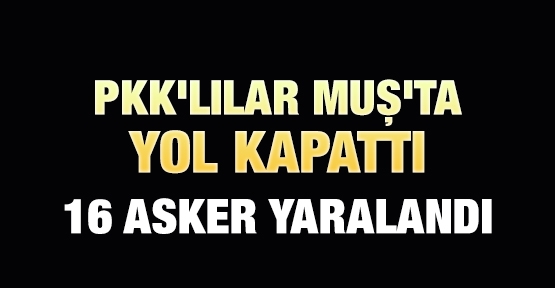 PKK'lılar Muş'ta yol kapattı! 16 asker yaralandı