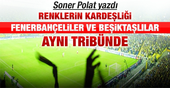 Renklerin kardeşliği Fenerbahçeliler ve Beşiktaşlılar aynı tribünde