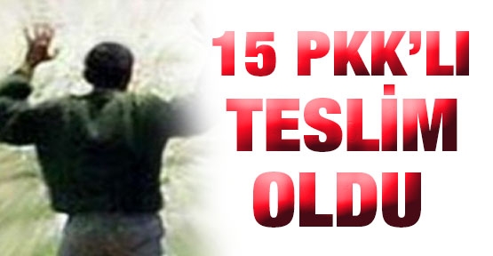 Şırnak'ta 15 PKK'lı teslim oldu