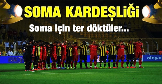 Soma kardeşliği
