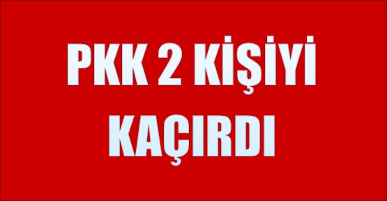 Teröristler 2 kardeşi kaçırdı