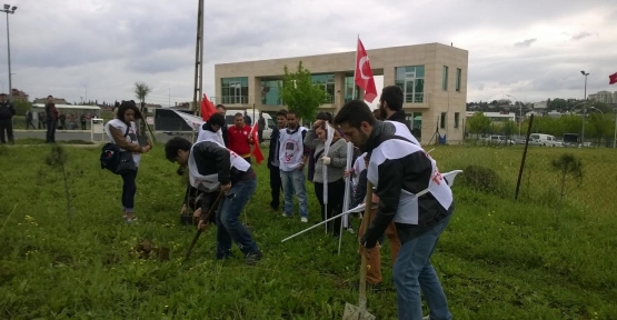 TGB Denizler için fidan dikti