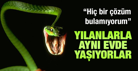 Yılanlarla aynı evde yaşıyorlar